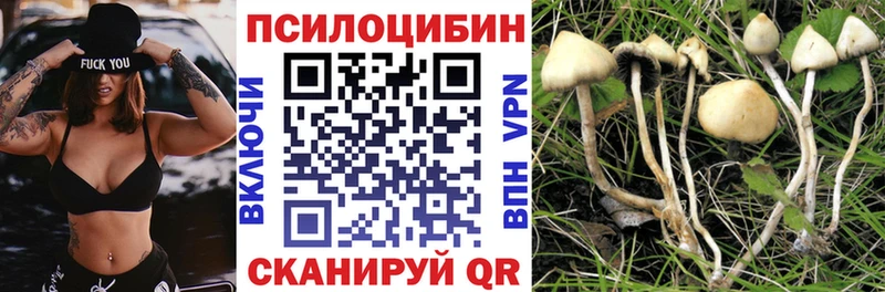 Псилоцибиновые грибы Magic Shrooms  как найти наркотики  Новокузнецк 