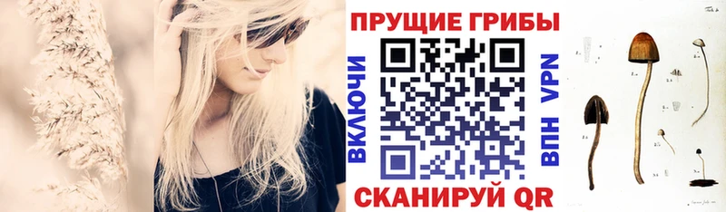 Псилоцибиновые грибы GOLDEN TEACHER Новокузнецк